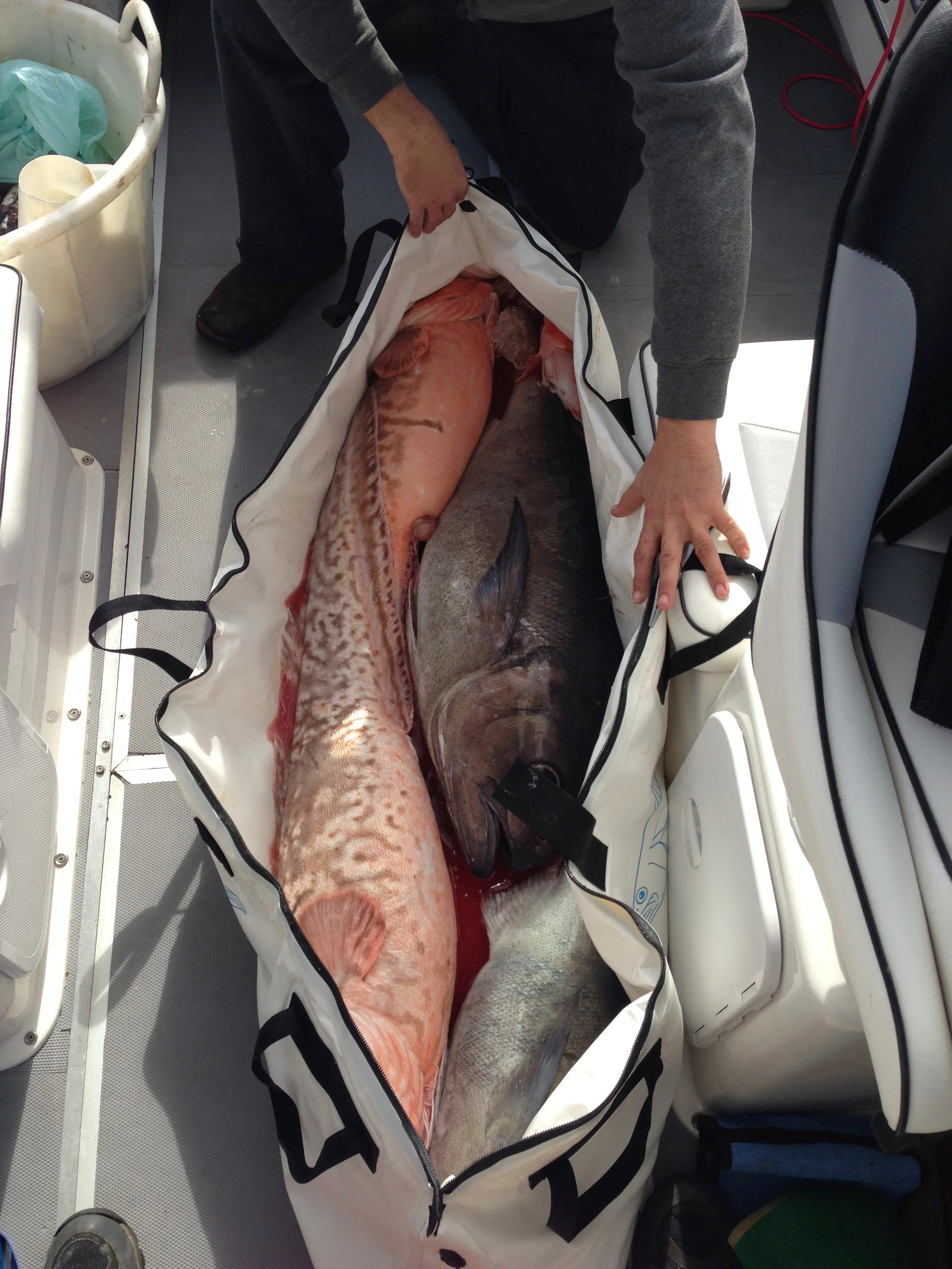 Chiller Fish Bags - Image 14