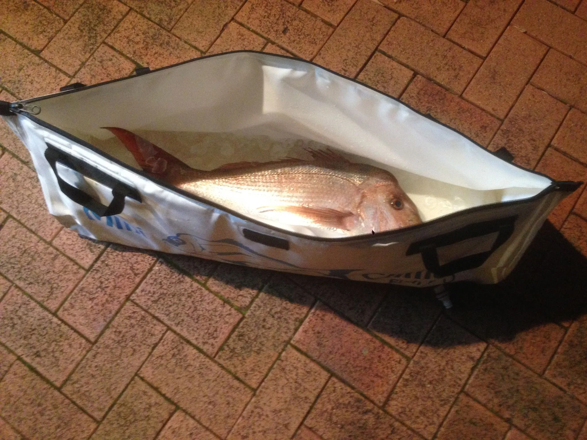 Chiller Fish Bags - Image 15