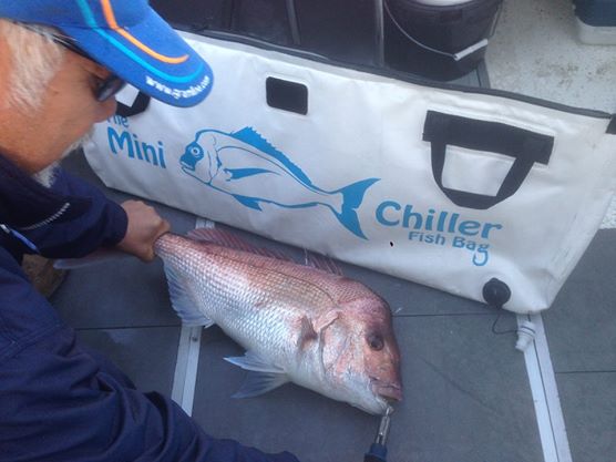 Chiller Fish Bags - Image 3