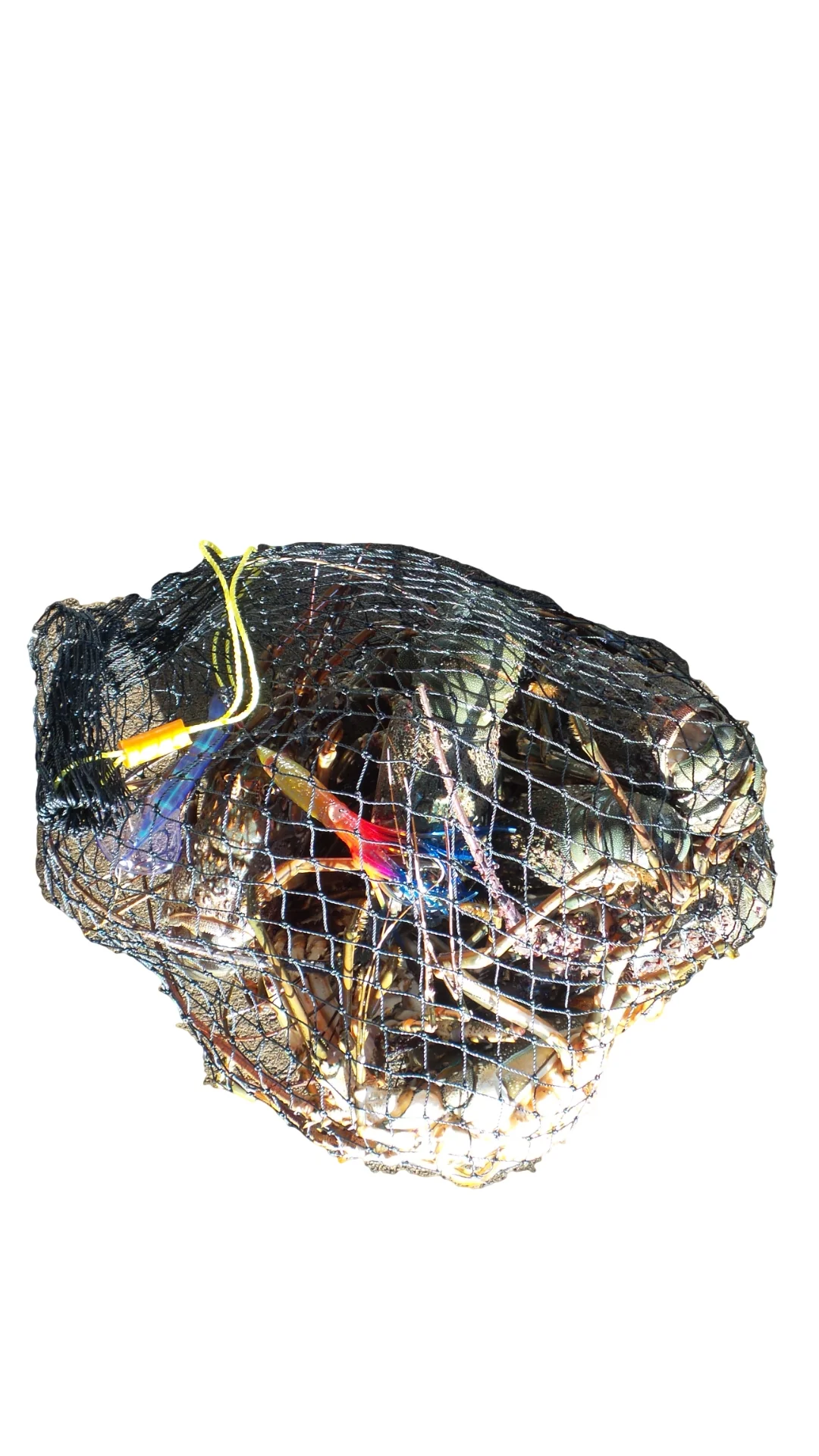 OBD Mesh Cray Bag - Black - Image 9